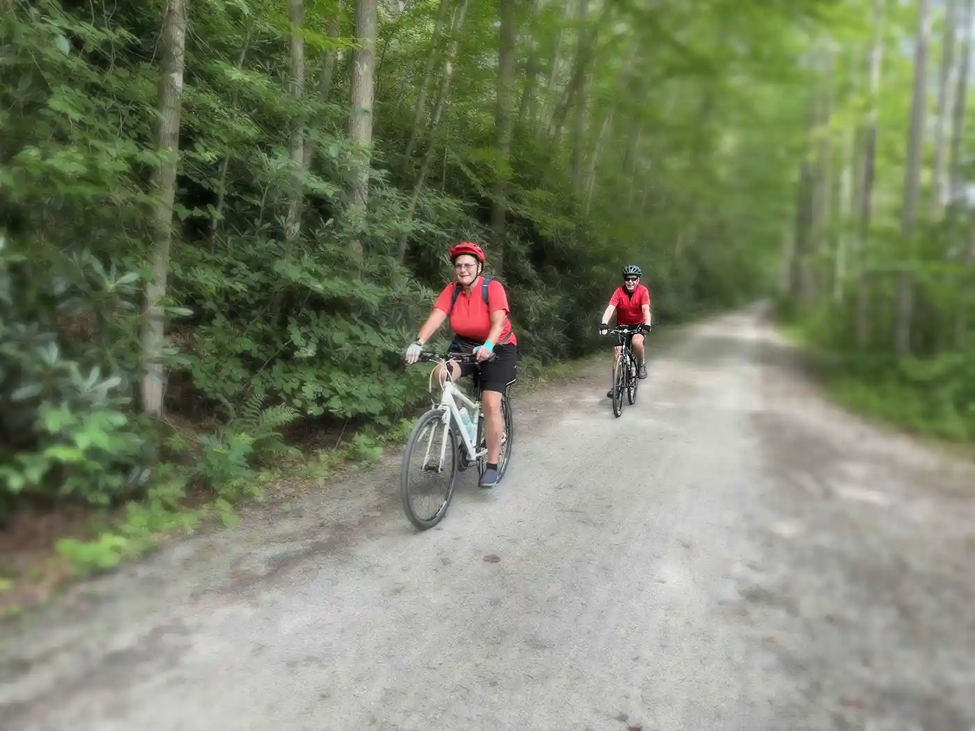 Two cyclists riding a wooded section of the trail