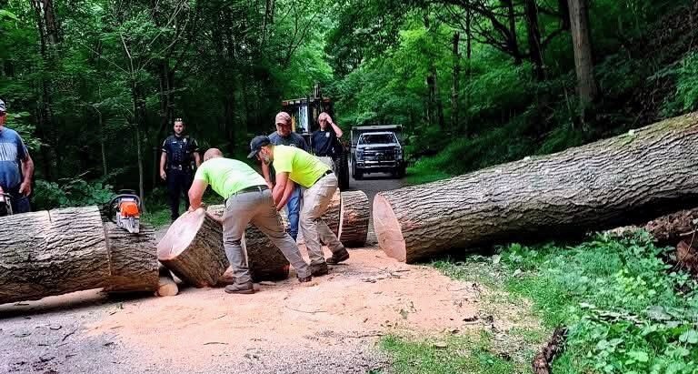 A crew of volunteers rolling away a large log after cutting up a tree that fell across the Westmoreland Yough Trail