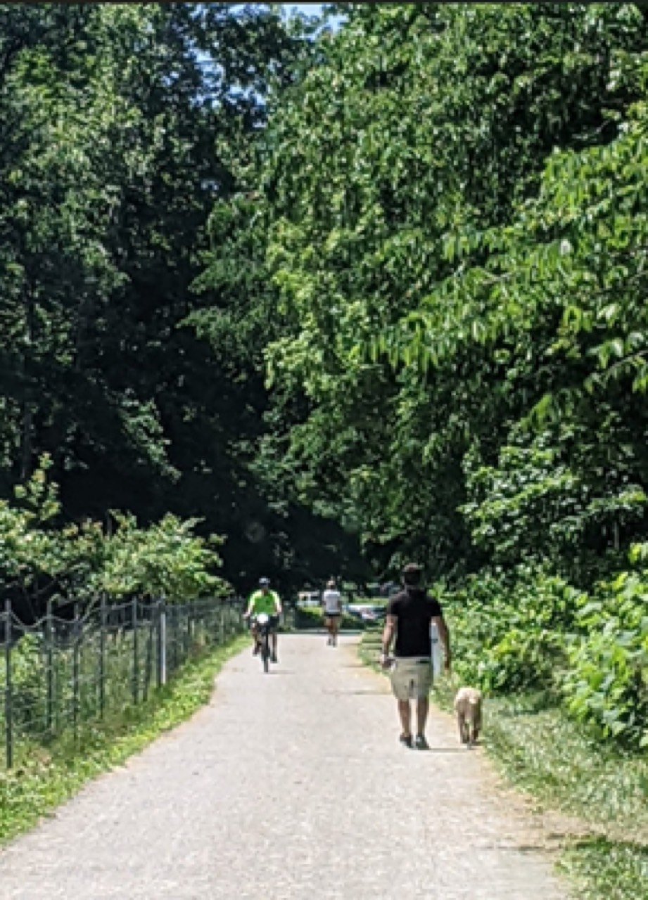 A family walking a dog on the Westmoreland Heritage Trail